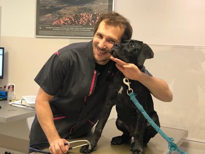 Veto et chien noir