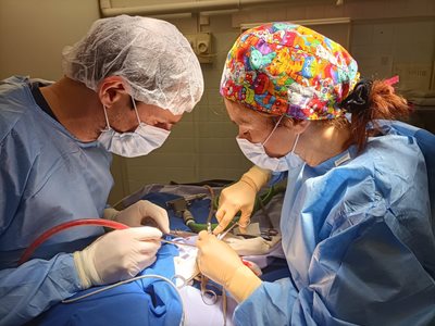 Salle de chirurgie